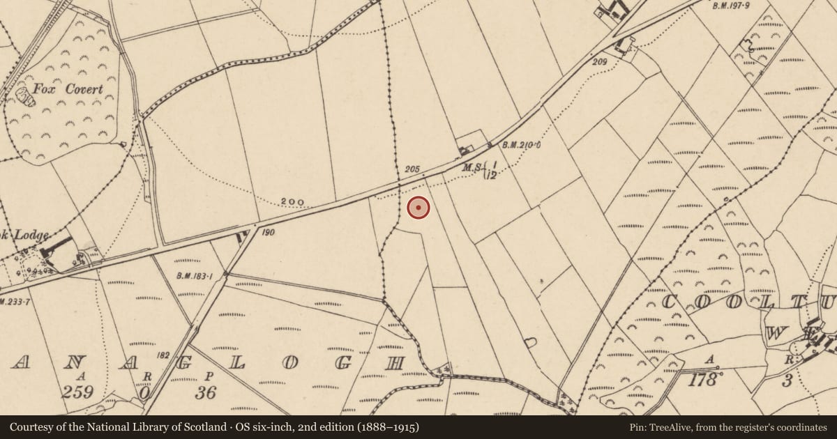 Ordnance Survey six-inch map, 2nd edition (1888–1915) covering the location of Hut site, Graigueshoneen, County Waterford, with a pin at the register's coordinates
