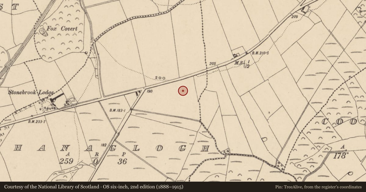 Ordnance Survey six-inch map, 2nd edition (1888–1915) covering the location of Hearth, Ahanaglogh, County Waterford, with a pin at the register's coordinates