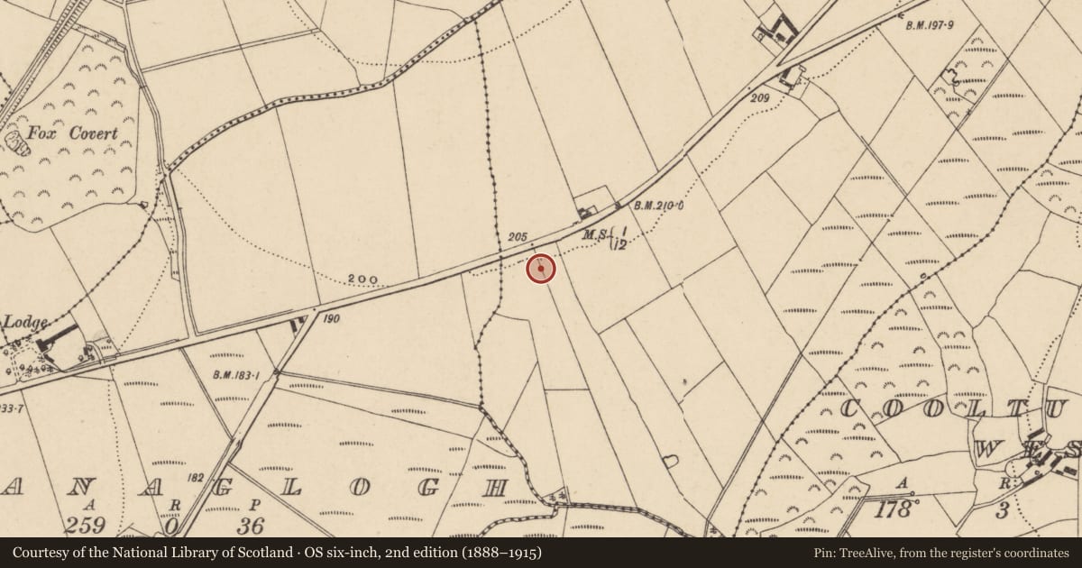 Ordnance Survey six-inch map, 2nd edition (1888–1915) covering the location of Excavation - miscellaneous, Graigueshoneen, County Waterford, with a pin at the register's coordinates