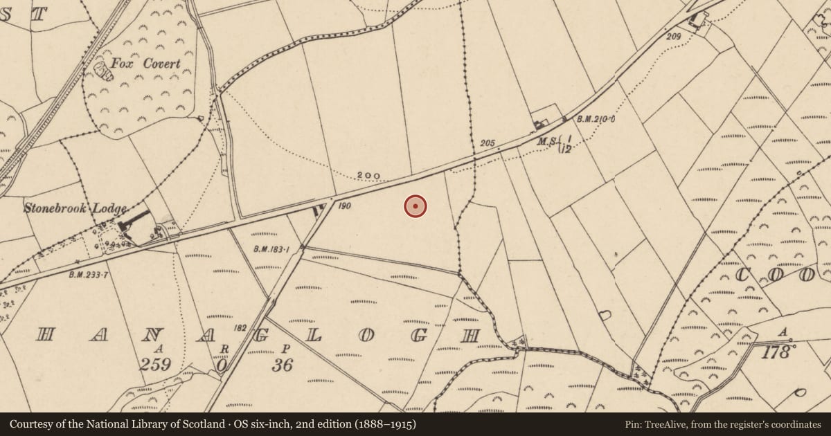 Ordnance Survey six-inch map, 2nd edition (1888–1915) covering the location of Excavation - miscellaneous, Ahanaglogh, County Waterford, with a pin at the register's coordinates