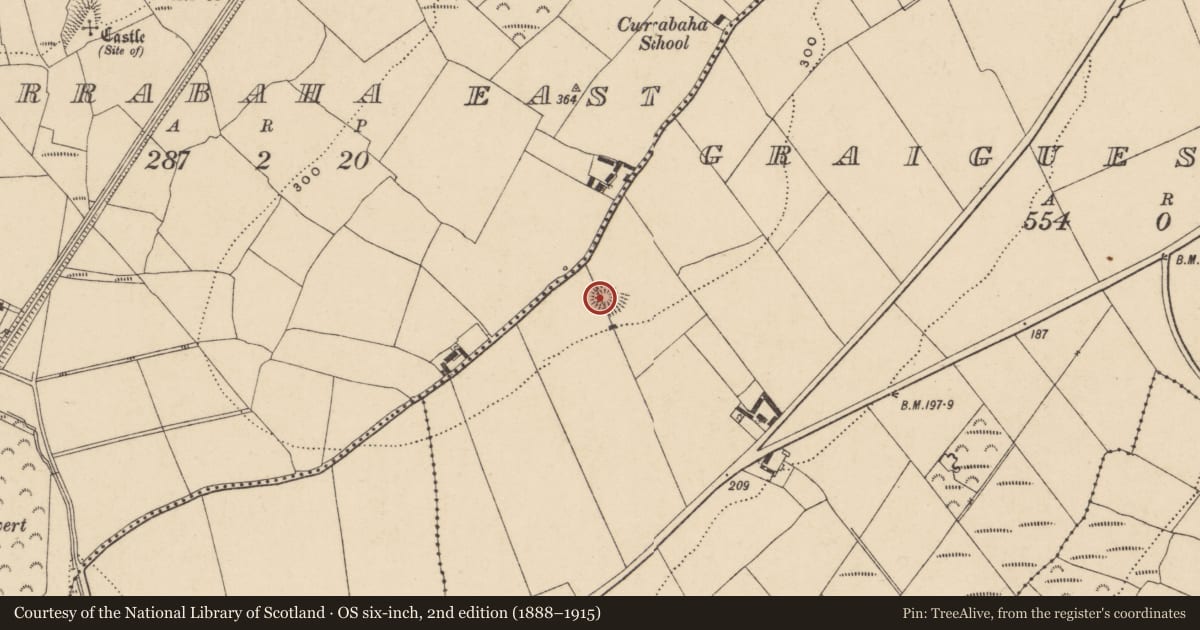 Ordnance Survey six-inch map, 2nd edition (1888–1915) covering the location of Ringfort - unclassified, Graigueshoneen, County Waterford, with a pin at the register's coordinates