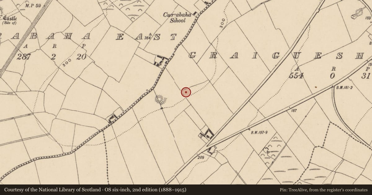 Ordnance Survey six-inch map, 2nd edition (1888–1915) covering the location of Ringfort - unclassified, Graigueshoneen, County Waterford, with a pin at the register's coordinates