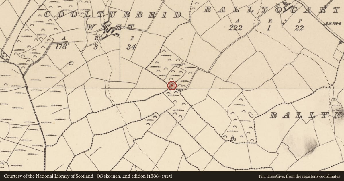 Ordnance Survey six-inch map, 2nd edition (1888–1915) covering the location of Ringfort - rath, County Waterford, with a pin at the register's coordinates