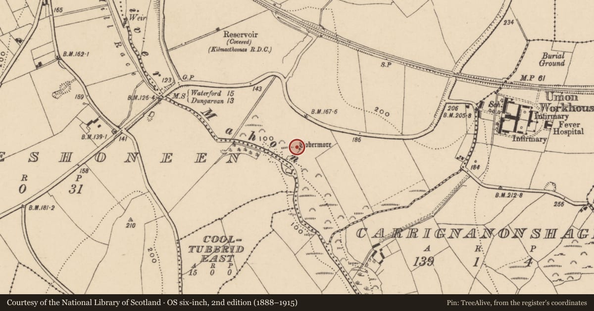 Ordnance Survey six-inch map, 2nd edition (1888–1915) covering the location of Well, Kilmacthomas, County Waterford, with a pin at the register's coordinates
