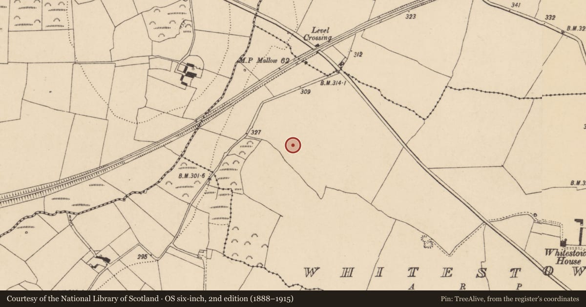 Ordnance Survey six-inch map, 2nd edition (1888–1915) covering the location of Earthwork, Whitestown, County Waterford, with a pin at the register's coordinates