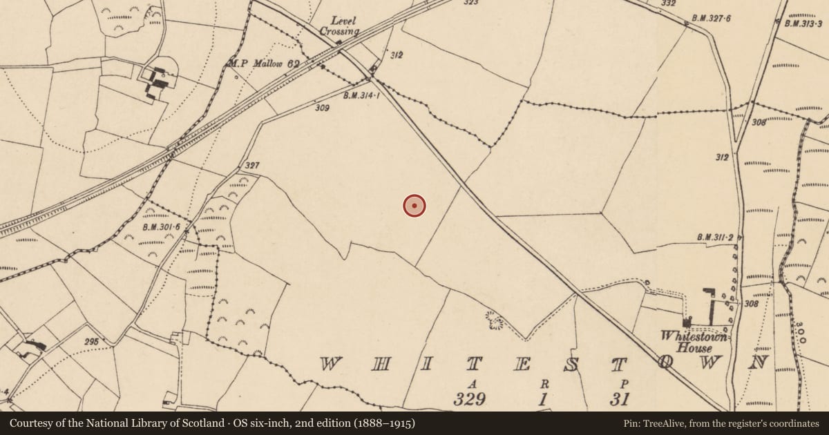 Ordnance Survey six-inch map, 2nd edition (1888–1915) covering the location of Ringfort - unclassified, Whitestown, County Waterford, with a pin at the register's coordinates