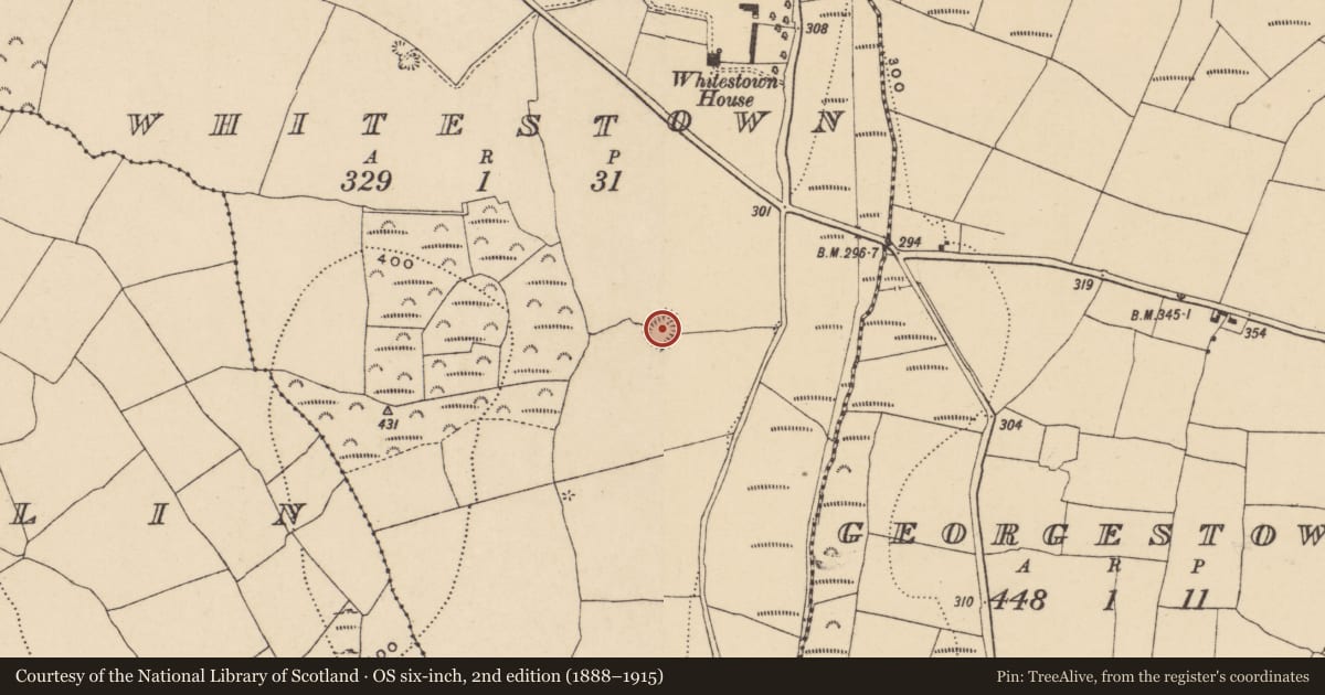 Ordnance Survey six-inch map, 2nd edition (1888–1915) covering the location of Enclosure, Whitestown, County Waterford, with a pin at the register's coordinates