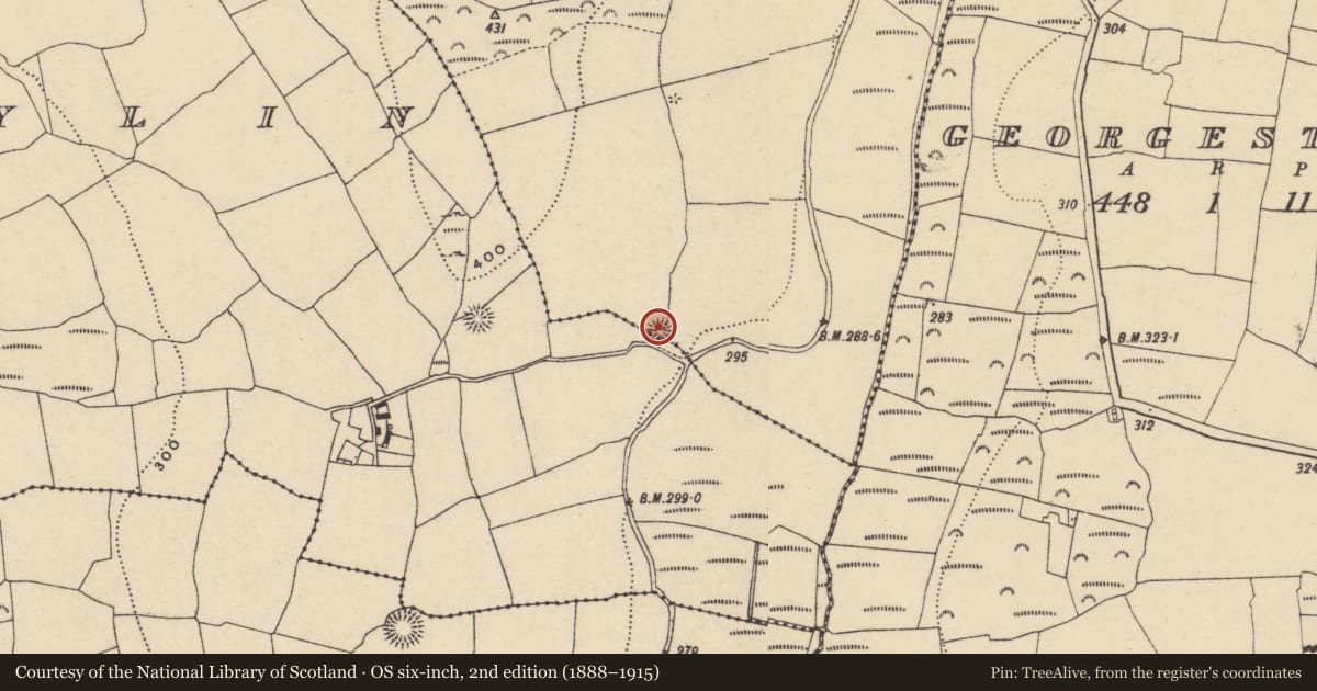 Ordnance Survey six-inch map, 2nd edition (1888–1915) covering the location of Enclosure, Whitestown, Kilmoylin, County Waterford, with a pin at the register's coordinates