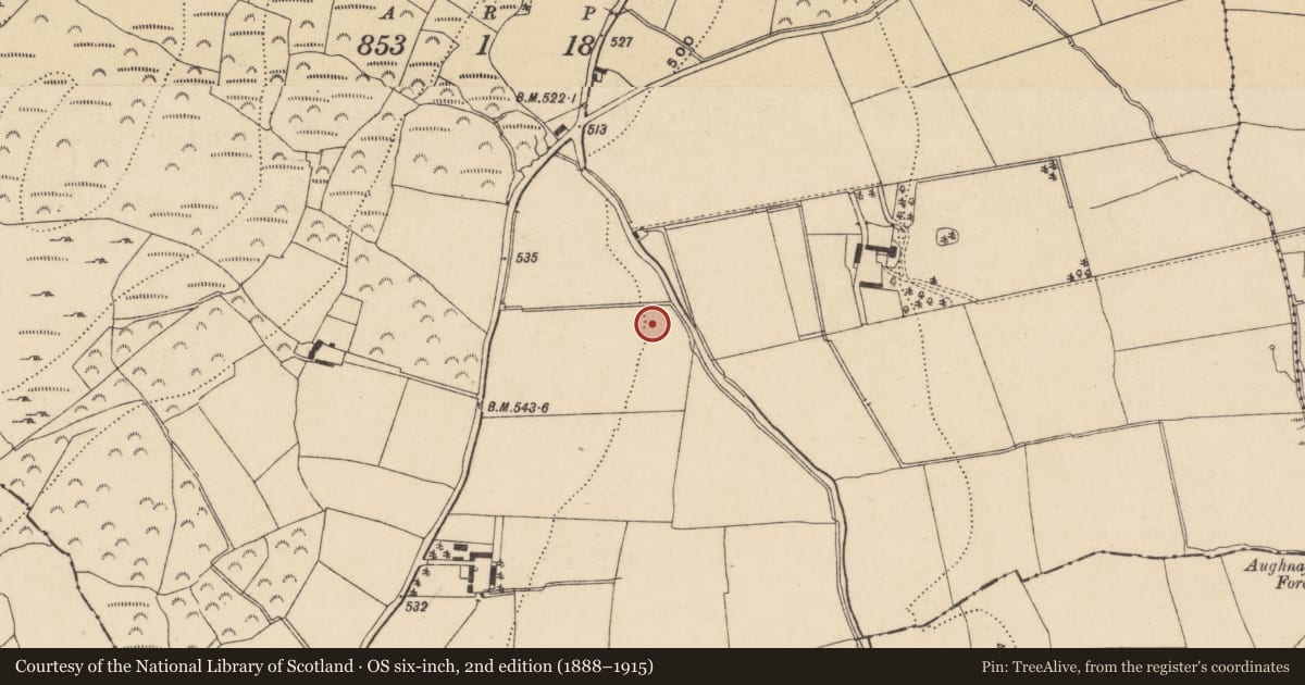 Ordnance Survey six-inch map, 2nd edition (1888–1915) covering the location of Church, Kilcanavee, County Waterford, with a pin at the register's coordinates