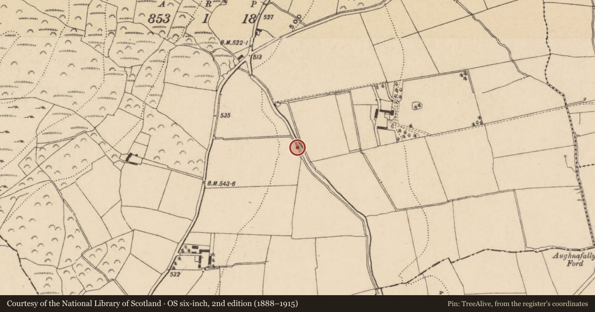 Ordnance Survey six-inch map, 2nd edition (1888–1915) covering the location of Architectural fragment, Kilcanavee, County Waterford, with a pin at the register's coordinates