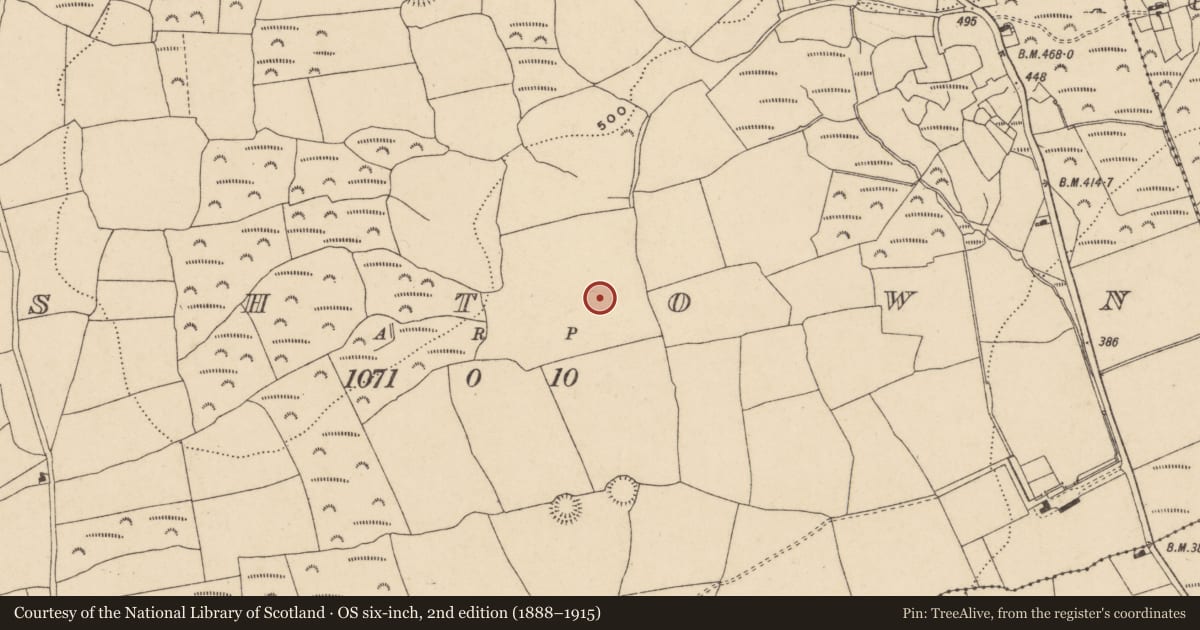 Ordnance Survey six-inch map, 2nd edition (1888–1915) covering the location of Standing stone, Ashtown, County Waterford, with a pin at the register's coordinates
