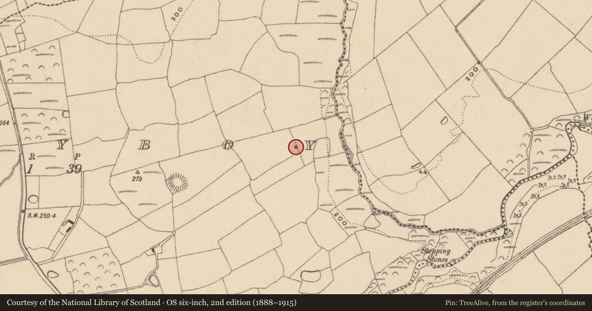 Ordnance Survey six-inch map, 2nd edition (1888–1915) covering the location of Bullaun stone, Ballyboy, County Waterford, with a pin at the register's coordinates