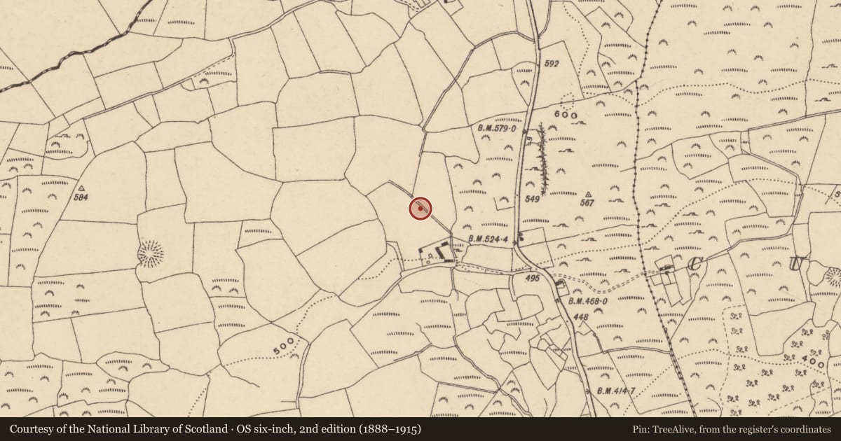 Ordnance Survey six-inch map, 2nd edition (1888–1915) covering the location of Standing stone, Ashtown, County Waterford, with a pin at the register's coordinates
