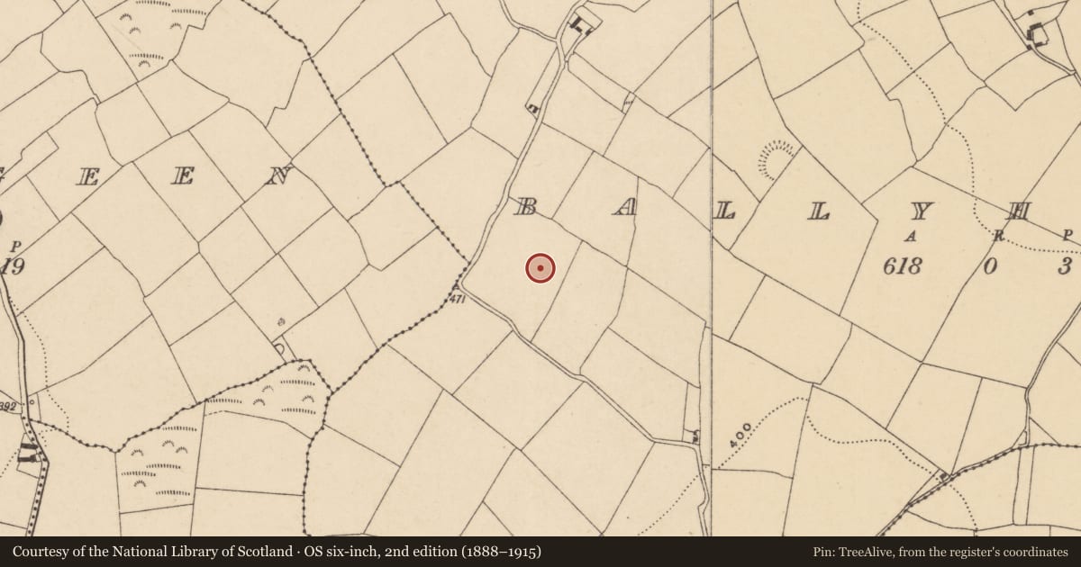 Ordnance Survey six-inch map, 2nd edition (1888–1915) covering the location of Standing stone, Ballyhussa, County Waterford, with a pin at the register's coordinates