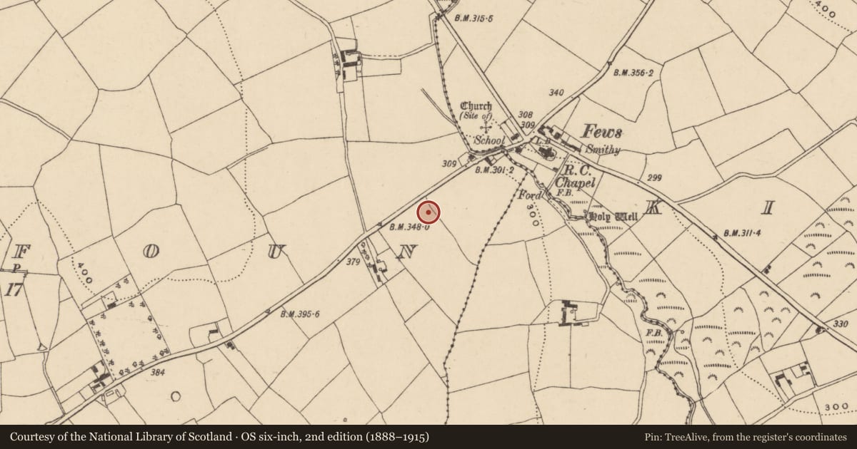 Ordnance Survey six-inch map, 2nd edition (1888–1915) covering the location of Standing stone, Kealfoun, County Waterford, with a pin at the register's coordinates