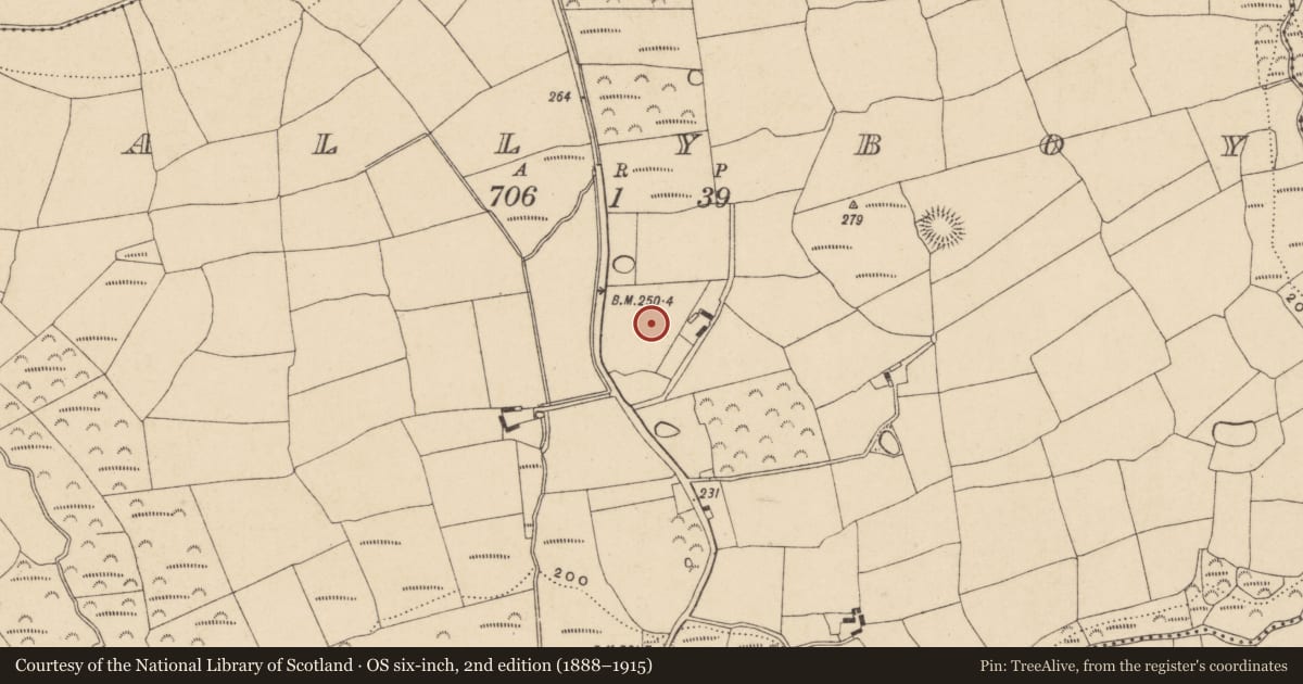Ordnance Survey six-inch map, 2nd edition (1888–1915) covering the location of Standing stone, Ballyboy, County Waterford, with a pin at the register's coordinates