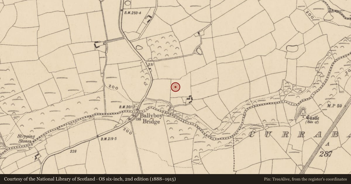 Ordnance Survey six-inch map, 2nd edition (1888–1915) covering the location of Standing stone, Ballyboy, County Waterford, with a pin at the register's coordinates