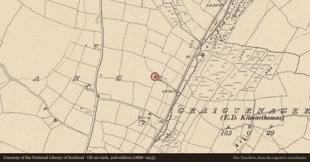 Ordnance Survey six-inch map, 2nd edition (1888–1915) covering the location of Fulacht fia, Kilnagrange, County Waterford, with a pin at the register's coordinates