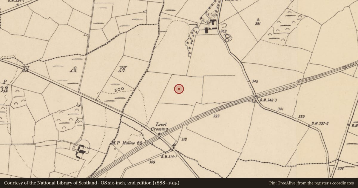 Ordnance Survey six-inch map, 2nd edition (1888–1915) covering the location of Standing stone, Ballybrack, County Waterford, with a pin at the register's coordinates
