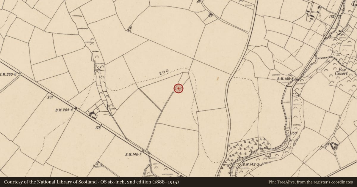 Ordnance Survey six-inch map, 2nd edition (1888–1915) covering the location of Burnt mound, Kilnagrange, County Waterford, with a pin at the register's coordinates
