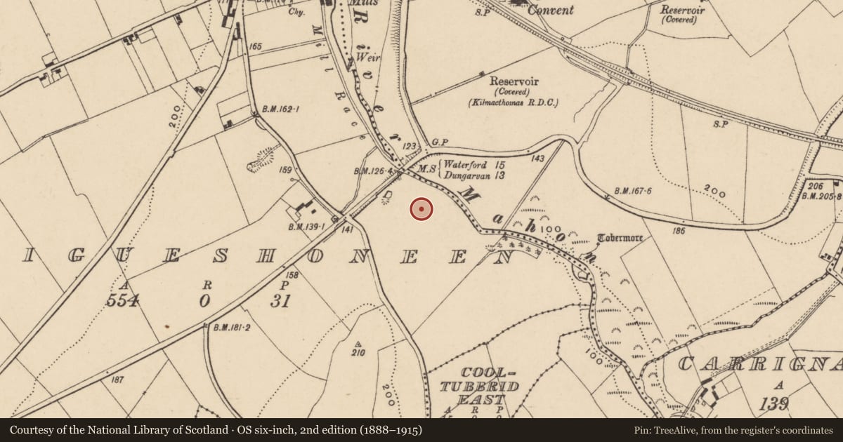Ordnance Survey six-inch map, 2nd edition (1888–1915) covering the location of Burnt mound, Graigueshoneen, County Waterford, with a pin at the register's coordinates