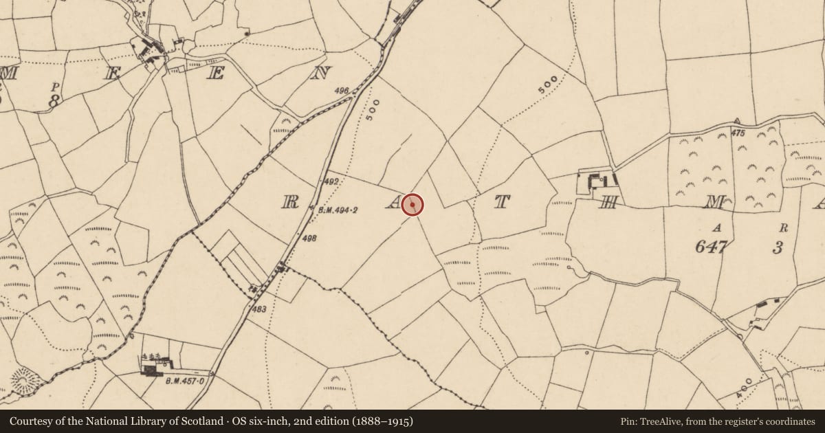 Ordnance Survey six-inch map, 2nd edition (1888–1915) covering the location of Stone row, Rathmaiden, County Waterford, with a pin at the register's coordinates