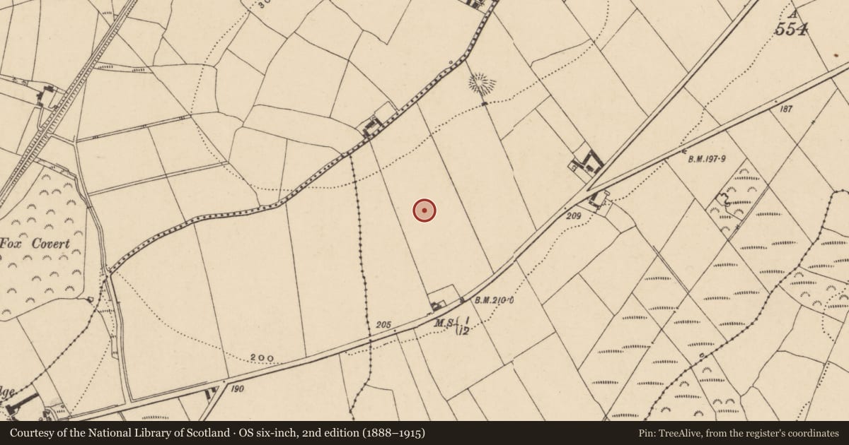Ordnance Survey six-inch map, 2nd edition (1888–1915) covering the location of Enclosure, Graigueshoneen, County Waterford, with a pin at the register's coordinates