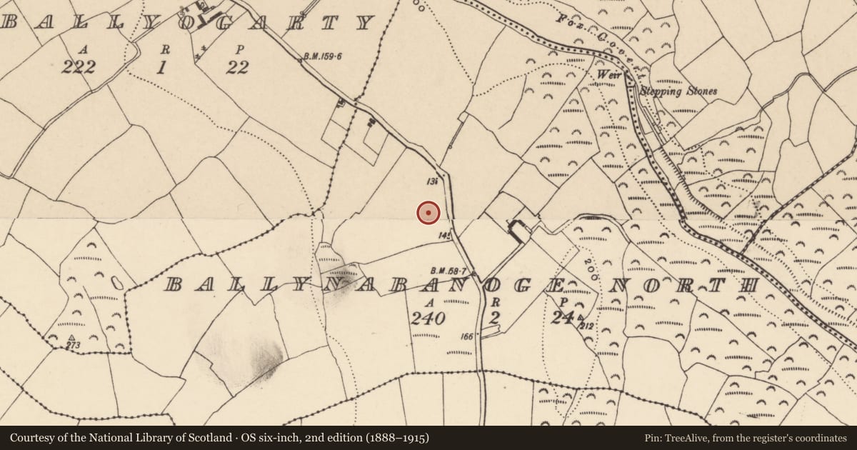 Ordnance Survey six-inch map, 2nd edition (1888–1915) covering the location of Standing stone, Ballynabanoge North, County Waterford, with a pin at the register's coordinates