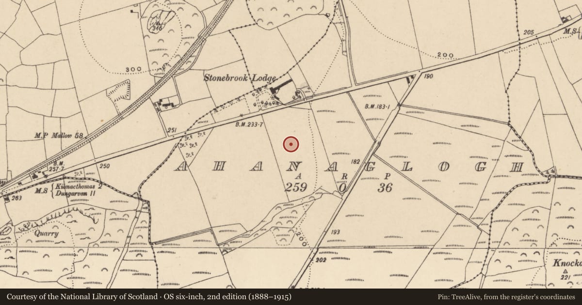 Ordnance Survey six-inch map, 2nd edition (1888–1915) covering the location of Fulacht fia, Ahanaglogh, County Waterford, with a pin at the register's coordinates