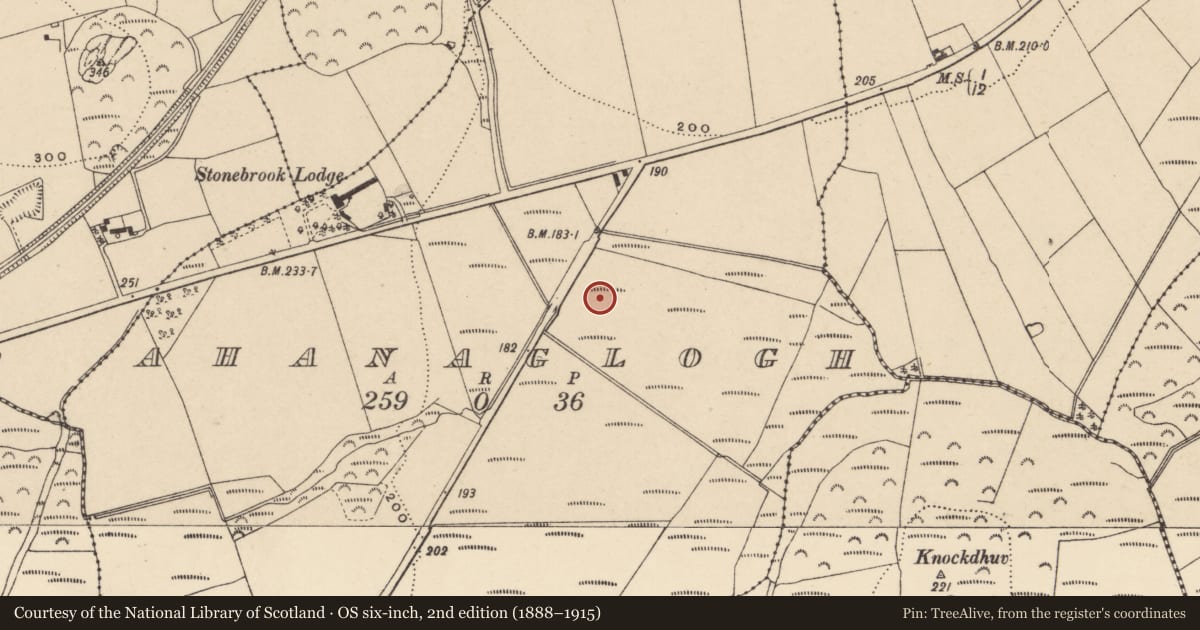 Ordnance Survey six-inch map, 2nd edition (1888–1915) covering the location of Fulacht fia, Ahanaglogh, County Waterford, with a pin at the register's coordinates
