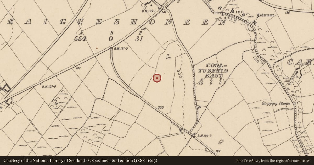 Ordnance Survey six-inch map, 2nd edition (1888–1915) covering the location of Habitation site, Graigueshoneen, County Waterford, with a pin at the register's coordinates