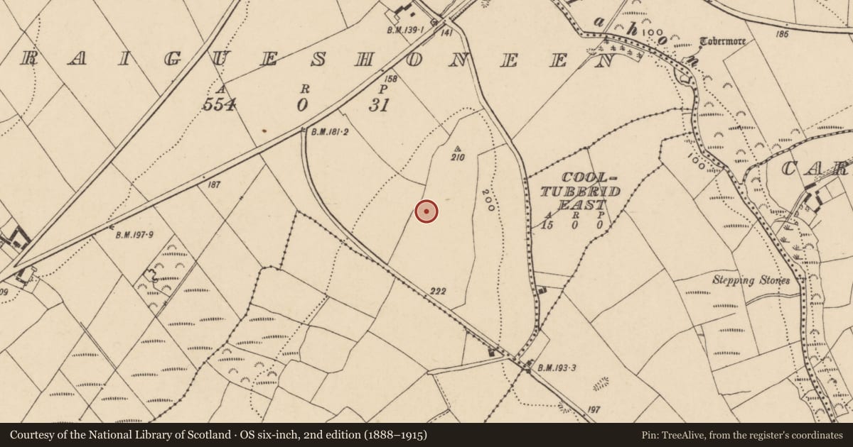 Ordnance Survey six-inch map, 2nd edition (1888–1915) covering the location of House - Bronze Age, Graigueshoneen, County Waterford, with a pin at the register's coordinates