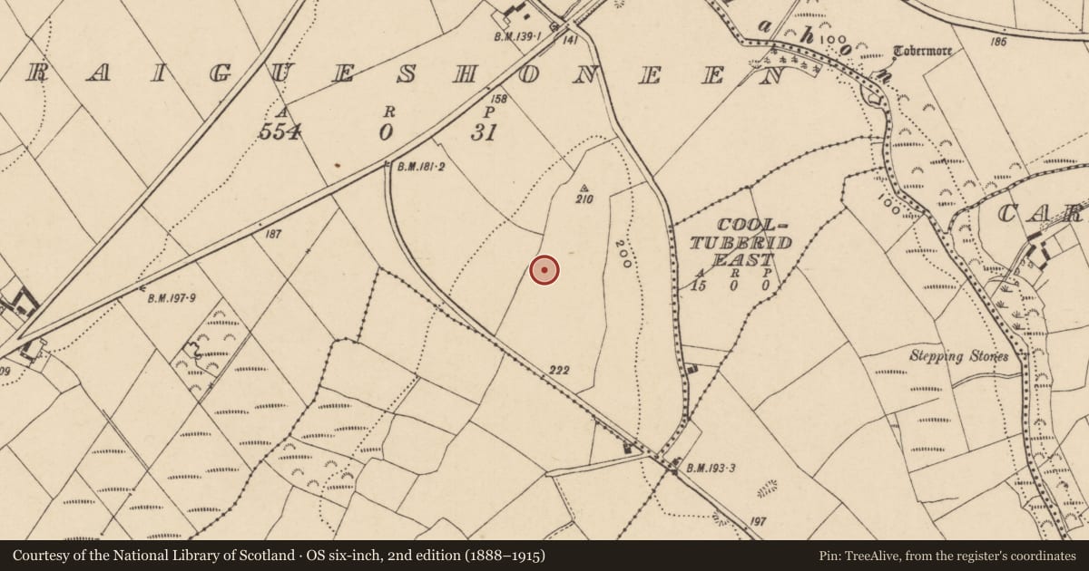 Ordnance Survey six-inch map, 2nd edition (1888–1915) covering the location of Metalworking site, Graigueshoneen, County Waterford, with a pin at the register's coordinates