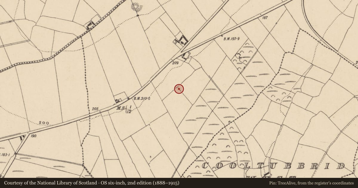 Ordnance Survey six-inch map, 2nd edition (1888–1915) covering the location of Hearth, Graigueshoneen, County Waterford, with a pin at the register's coordinates