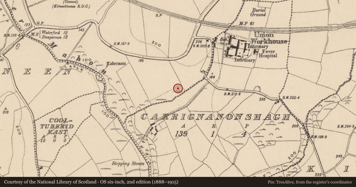 Ordnance Survey six-inch map, 2nd edition (1888–1915) covering the location of Burnt mound, Carrignanonshagh, County Waterford, with a pin at the register's coordinates