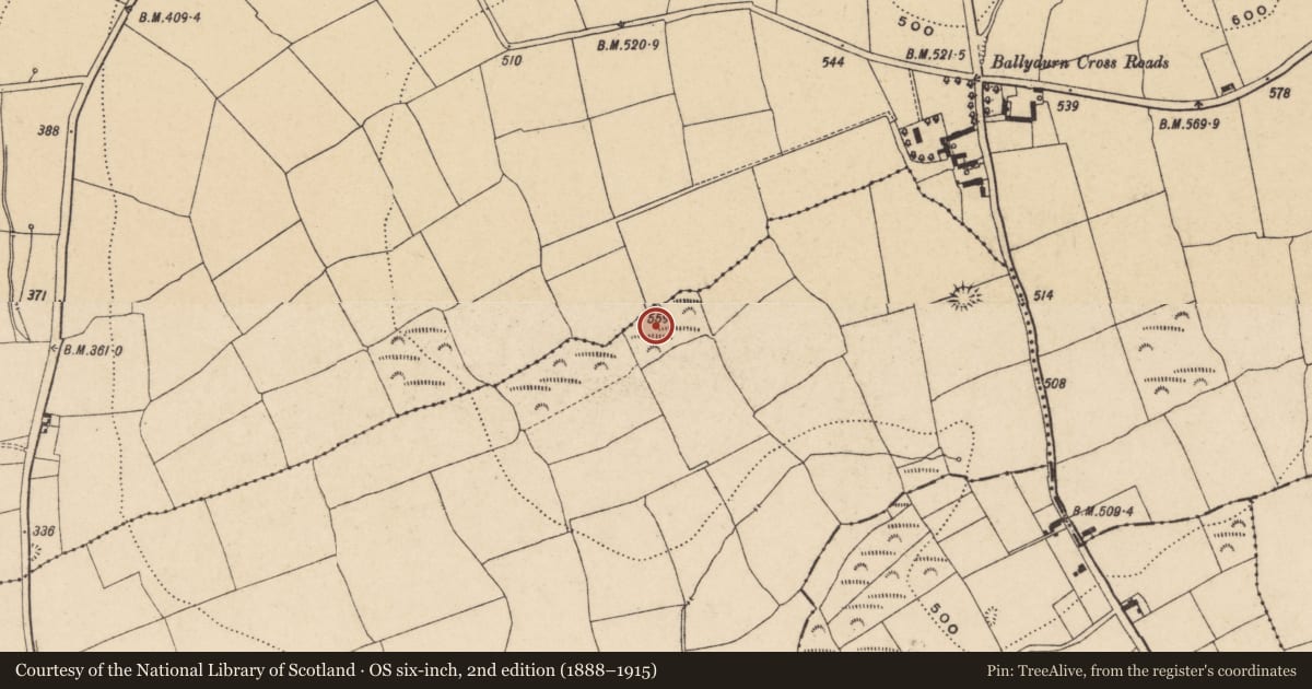 Ordnance Survey six-inch map, 2nd edition (1888–1915) covering the location of Standing stone, Ballydurn, County Waterford, with a pin at the register's coordinates