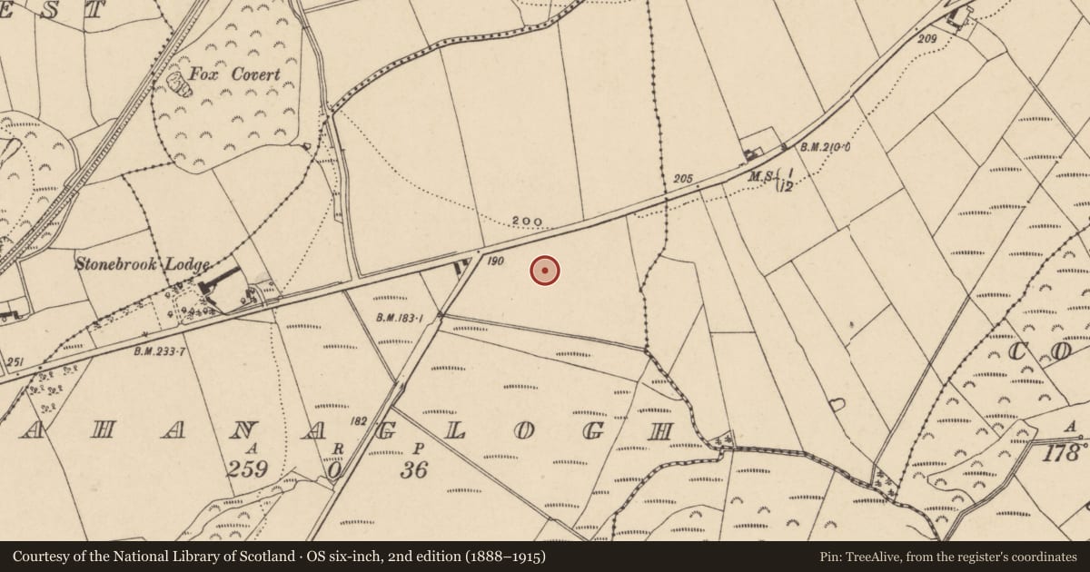 Ordnance Survey six-inch map, 2nd edition (1888–1915) covering the location of Habitation site, Ahanaglogh, County Waterford, with a pin at the register's coordinates