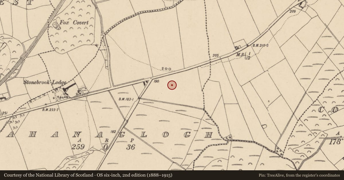 Ordnance Survey six-inch map, 2nd edition (1888–1915) covering the location of Kiln, Ahanaglogh, County Waterford, with a pin at the register's coordinates