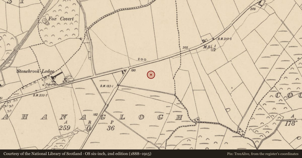 Ordnance Survey six-inch map, 2nd edition (1888–1915) covering the location of Metalworking site, Ahanaglogh, County Waterford, with a pin at the register's coordinates