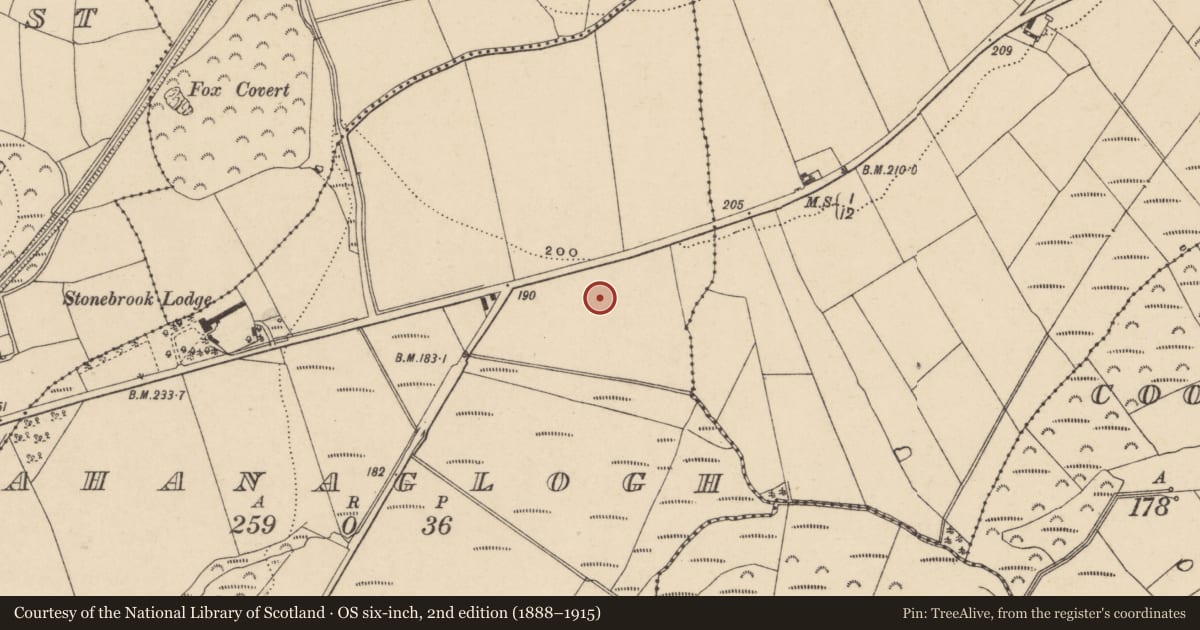 Ordnance Survey six-inch map, 2nd edition (1888–1915) covering the location of Charcoal-making site, Ahanaglogh, County Waterford, with a pin at the register's coordinates