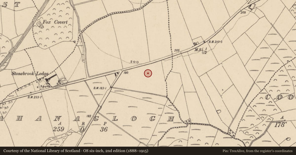Ordnance Survey six-inch map, 2nd edition (1888–1915) covering the location of Habitation site, Ahanaglogh, County Waterford, with a pin at the register's coordinates