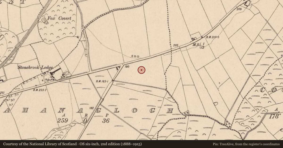 Ordnance Survey six-inch map, 2nd edition (1888–1915) covering the location of Field boundary, Ahanaglogh, County Waterford, with a pin at the register's coordinates