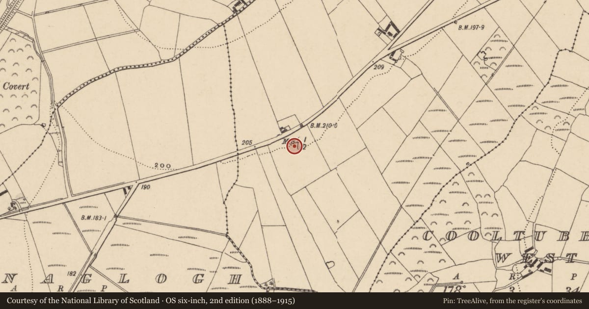 Ordnance Survey six-inch map, 2nd edition (1888–1915) covering the location of Pit-burial, Graigueshoneen, County Waterford, with a pin at the register's coordinates