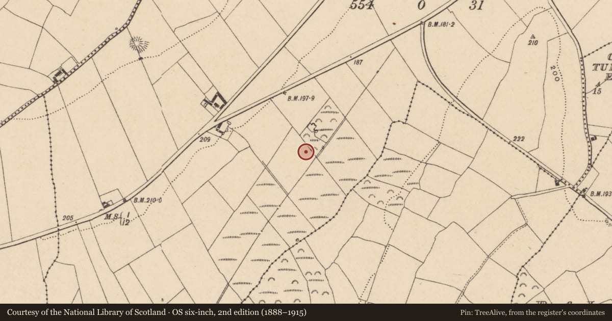 Ordnance Survey six-inch map, 2nd edition (1888–1915) covering the location of Enclosure, Graigueshoneen, County Waterford, with a pin at the register's coordinates