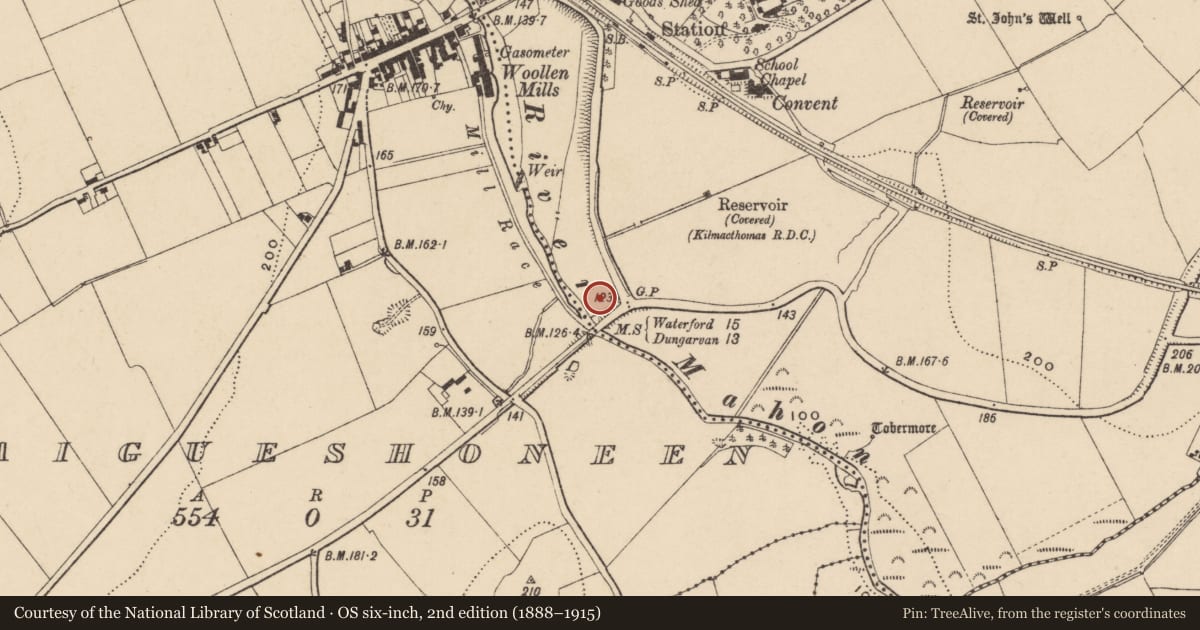 Ordnance Survey six-inch map, 2nd edition (1888–1915) covering the location of Burnt mound, Kilmacthomas, County Waterford, with a pin at the register's coordinates