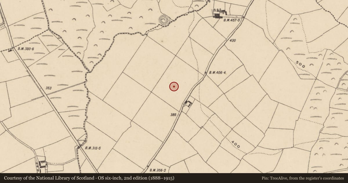 Ordnance Survey six-inch map, 2nd edition (1888–1915) covering the location of Standing stone, Kilnagrange, County Waterford, with a pin at the register's coordinates