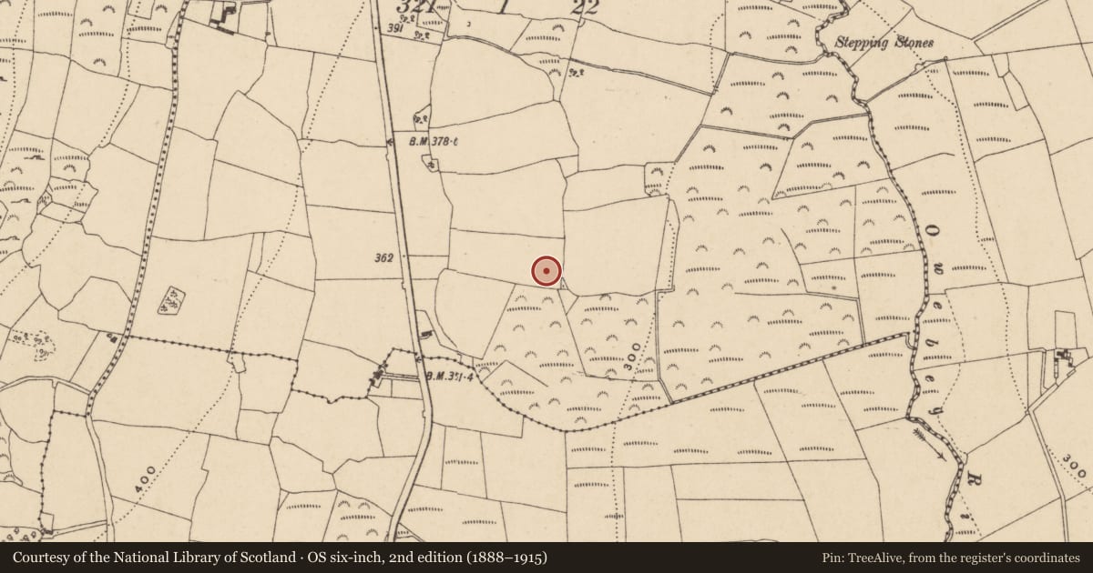 Ordnance Survey six-inch map, 2nd edition (1888–1915) covering the location of Burnt mound, Graiguearush, County Waterford, with a pin at the register's coordinates