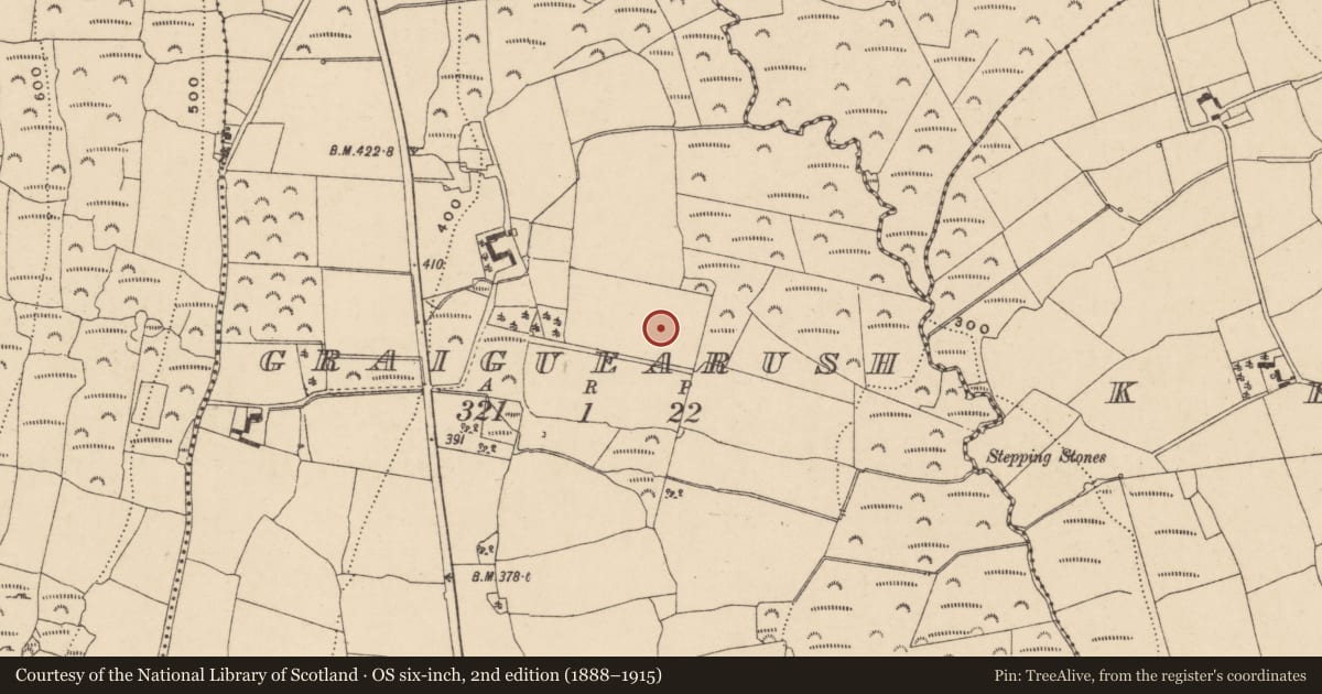 Ordnance Survey six-inch map, 2nd edition (1888–1915) covering the location of Burnt mound, Graiguearush, County Waterford, with a pin at the register's coordinates