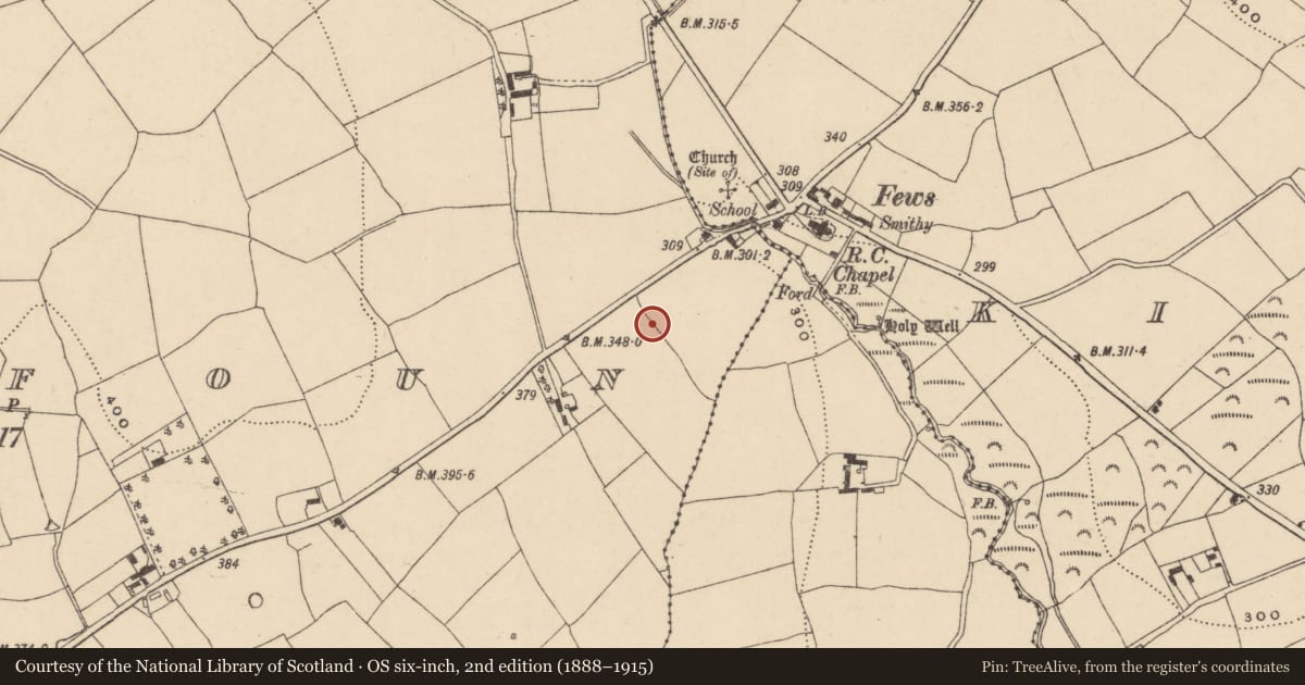 Ordnance Survey six-inch map, 2nd edition (1888–1915) covering the location of Standing stone (present location), Kealfoun, County Waterford, with a pin at the register's coordinates