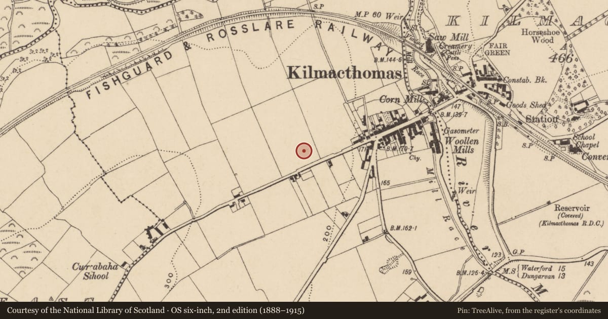 Ordnance Survey six-inch map, 2nd edition (1888–1915) covering the location of Enclosure, Graigueshoneen, County Waterford, with a pin at the register's coordinates
